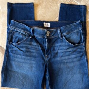 Hudson Collin mid rise, skinny jean